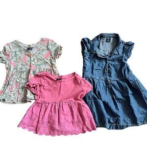Set of 3 Baby Gap shirt dresses denim blue, pink, gray butterfly toddler 3